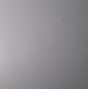 Meet your Posher, Diego